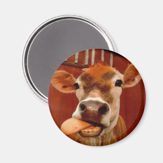 牛 マグネット (正面/裏面)