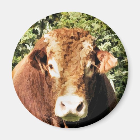 牛 マグネット (正面)