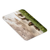 牛 マグネット (右側)