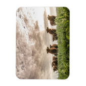 牛 マグネット (縦)