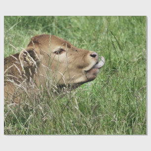 牛 ラッピングペーパー