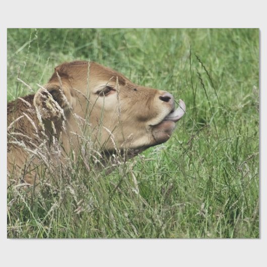 牛 ラッピングペーパー (フラット)