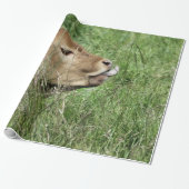 牛 ラッピングペーパー (アンロールド)