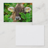 牛 名刺 (正面/裏面)