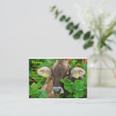 牛 名刺 (スタンド正面)