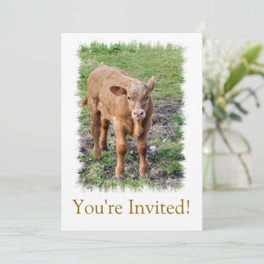 牛 招待状 (スタンド正面)