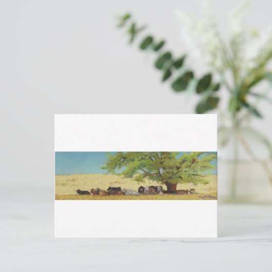 牛、牛 ポストカード (スタンド正面)