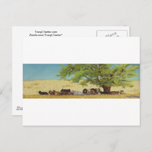 牛、牛 ポストカード (正面/裏面)