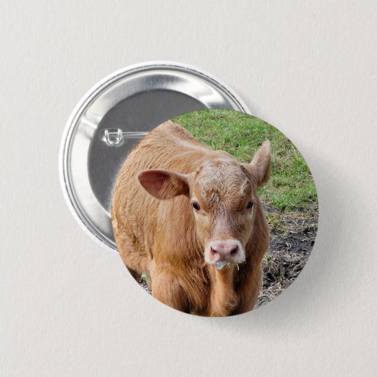 牛 缶バッジ (正面&裏面)