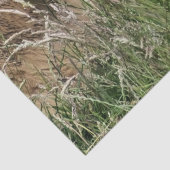 牛 薄葉紙 (詳細)