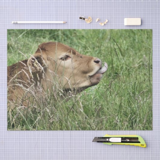 牛 薄葉紙 (クラフト)