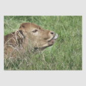 牛 薄葉紙 (正面)