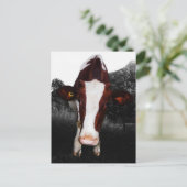 牛 - 黒と白だけじゃない ポストカード (スタンド正面)