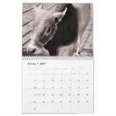 牛、2016カレンダー カレンダー (1月 2027)