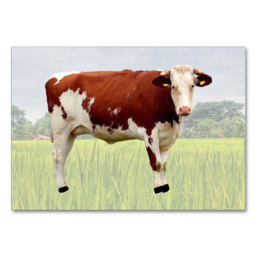 牛ABAタクト表示フラッシュカード |写真カード テーブルナンバー (正面)