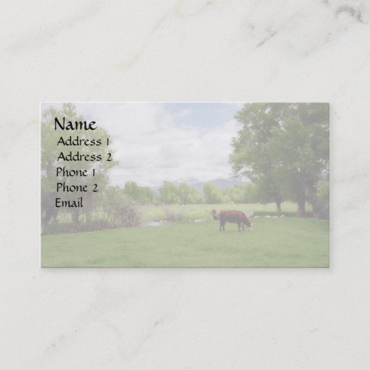 牛v3を牧草を食べること 名刺 (正面)