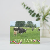 牛You Holland Coesポストカードを見る ポストカード (スタンド正面)