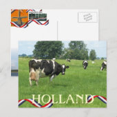 牛You Holland Coesポストカードを見る ポストカード (正面/裏面)