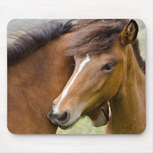 牝馬と若駒 マウスパッド (正面)