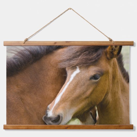 牝馬と若駒 吊り下げ型タペストリー (正面)