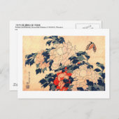 牡丹と蝶,北斎牡丹と蝶，北斎，浮世絵 ポストカード (正面/裏面)