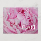 牡丹の花と庭園愛好家のためのバラ シーズンポストカード (正面)