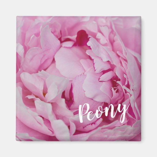 牡丹の花と庭園愛好家のためのバラ マグネット (正面)