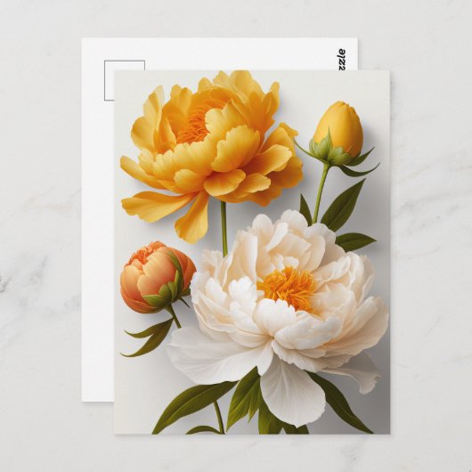 牡丹の花はがき ポストカード (正面/裏面)