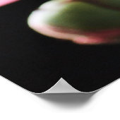 牡丹の花束クローズアップ：ピンクレッド ポスター (角)