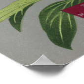 牡丹の花、ピンクと赤の花1939 ポスター (角)