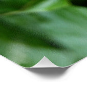 牡丹の芽が三つ ポスター (コーナー)