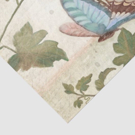 牡丹エレガント花蝶エフエメラデクページ 薄葉紙 (詳細)