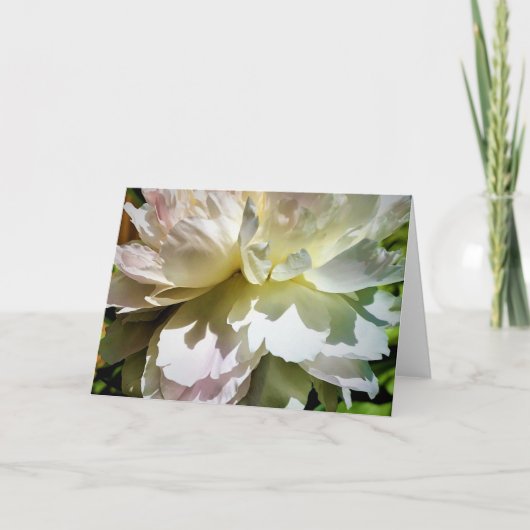 牡丹カード カード (正面)