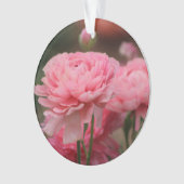 牡丹ピンクランヌカルス接写 オーナメント (正面)