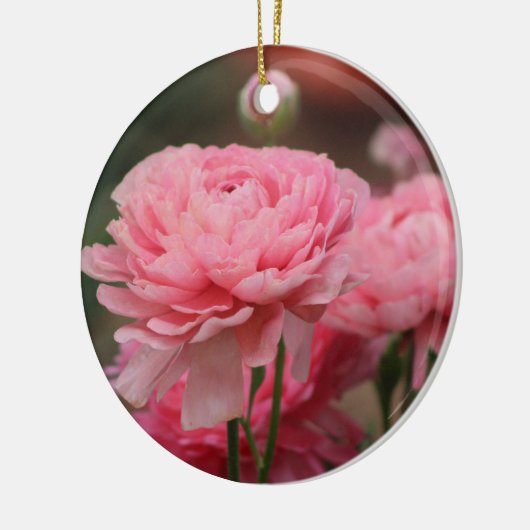 牡丹ピンクランヌカルス接写 セラミックオーナメント (左)