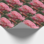 牡丹ピンクランヌカルス接写 ラッピングペーパー (角)