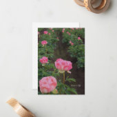 牡丹フィールド ノートカード (正面/裏面インサイチュ)