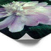 牡丹フラワー自然抽象芸術 ポスター (角)