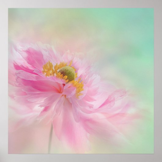 牡丹ポスター ポスター (正面)