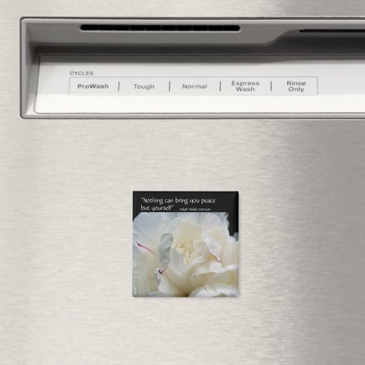 牡丹内平和感動的引用文磁石 マグネット (インサイチュ (食洗機))