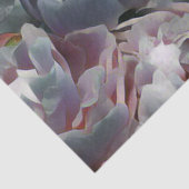 牡丹工房 薄葉紙 (詳細)