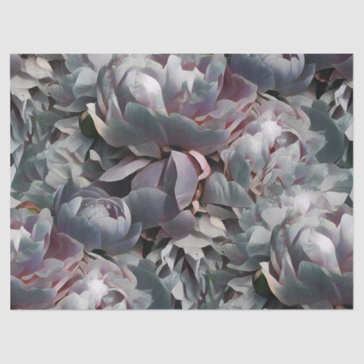 牡丹工房 薄葉紙 (正面)