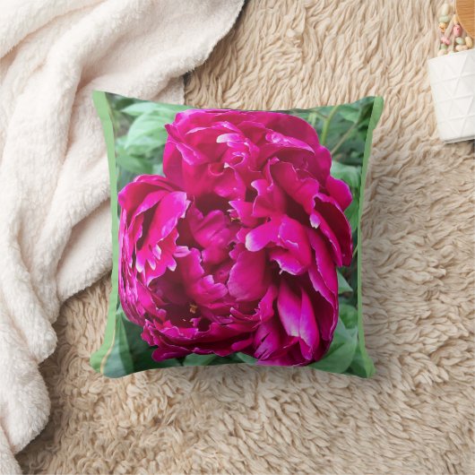 牡丹枕 クッション (ブランケット)
