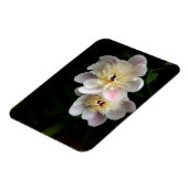 牡丹磁石 マグネット (左側)