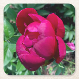 牡丹紙ドリンクコースター スクエアペーパーコースター