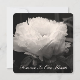 牡丹花の写真2葬式発表 招待状