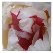 牡丹花びら タイル (正面)