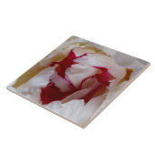 牡丹花びら タイル (側面)