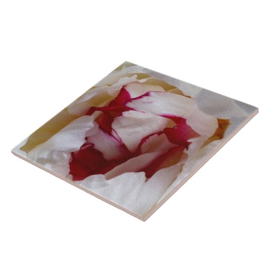 牡丹花びら タイル (側面)