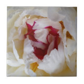 牡丹花びら タイル (正面)